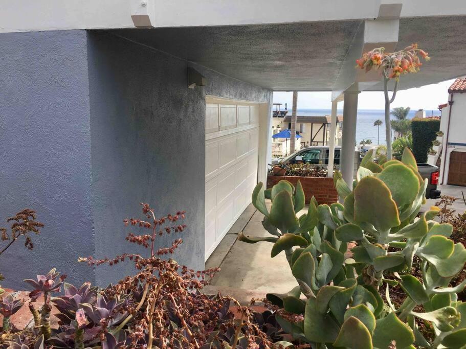 Blue Whale Inn San Clemente Jewel Unit D Esterno foto